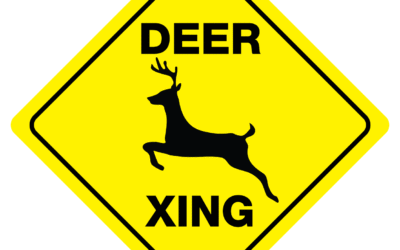 Safety Message – They’re in Rut, So Be Alert